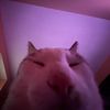 sleepy_network