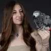 amandasexoticanimals