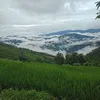 fromhin2