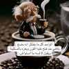 hmo_504