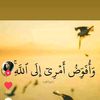 hasanali4503
