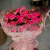 hoahongdo.com88