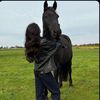 lilar_100