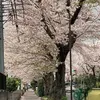 memo0405