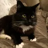 mvlrowe