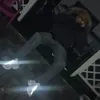 ec_dennis49