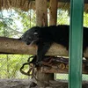 sonle_quangngai_76