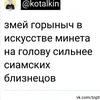 user17205850