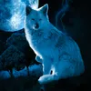 herr_wolf.offiziell