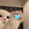 chao nèee ❄️