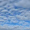 102812rk