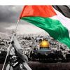 fawzhanoun