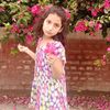 dawoodbutt1675