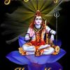 user702350195214sunshine