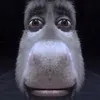 sleepyking_