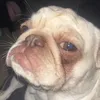 itsyaboybenjieboy
