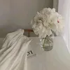 artpivolpol