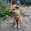 ipaneedcigs_