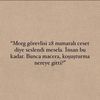 denizeylem6