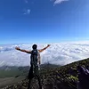 nguyenthanhhong93
