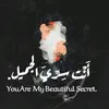 rizwan10a