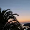 lazicm_
