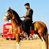 usmangujjar762