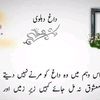 alipathan913