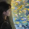www.titok.com.kiukiu520