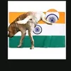 garrysingh8118