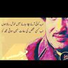 amalrajpoot47