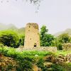 alialshaji
