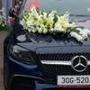 tuannn359