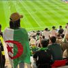 Doudii 🇩🇿🇶🇦
