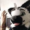 negu_the_fennec