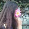 __lisa_li_