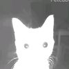 .r_ynnn