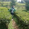 2.putri303