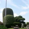 1284552239ff