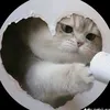user767nvltluf