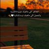 abode55565