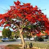 hoangtruong9098