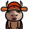 mvinh_2zz