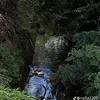 alex_nguyen_