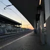 stes_07
