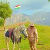 sozdarshkak