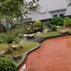 bahieu_1992