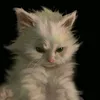 .lmthu