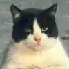 lizandro00007