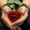 flower_yasmen